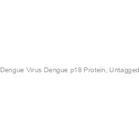 Recombinant Dengue Virus Dengue p18 Protein, Untagged, E.coli-500ug